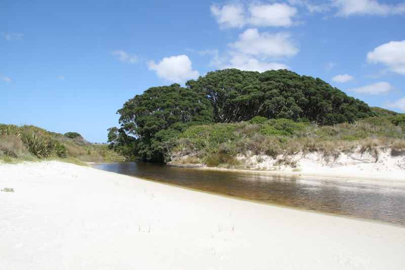Nieuw-Zeeland 2011 - 0310